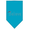 Christmas Pet and Dog Bandana Rhinestone, Believe