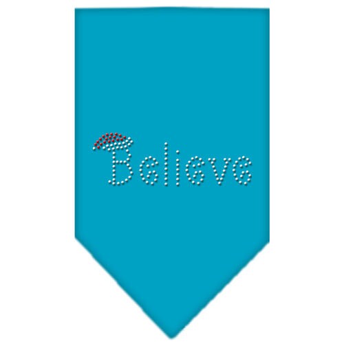 Christmas Pet and Dog Bandana Rhinestone, Believe