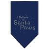 Christmas Pet and Dog Bandana Rhinestone, I Believe In Santa Paws