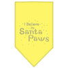 Christmas Pet and Dog Bandana Rhinestone, I Believe In Santa Paws