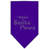 Christmas Pet and Dog Bandana Rhinestone, I Believe In Santa Paws