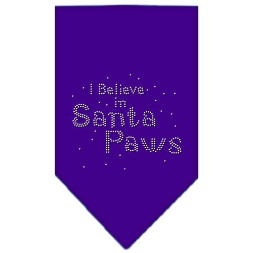 Christmas Pet and Dog Bandana Rhinestone, I Believe In Santa Paws