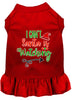 Christmas Pet Dress Screen Printed, I Can't, Santa Is Watching