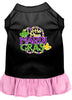 Pet Dress Little Miss Mardi Gras