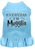 Pet Dress Everyday I'm Mugglin