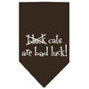 Halloween Pet and Dog Bandana Screen Printed, Black Cats are Bad Luck