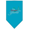 Christmas Pet and Dog Bandana Rhinestone, Tis The Season To Sparkle