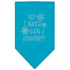 Christmas Pet and Dog Bandana Rhinestone, Yes! I Want To Build A Snowman