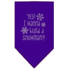 Christmas Pet and Dog Bandana Rhinestone, Yes! I Want To Build A Snowman