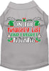 Christmas Cat or Dog Shirt for Pets 0-20 Pounds, On The Naughty List And I Regret Nothing
