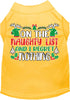 Christmas Cat or Dog Shirt for Pets 0-20 Pounds, On The Naughty List And I Regret Nothing
