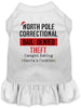 Christmas Pet Dress North Pole Correctional