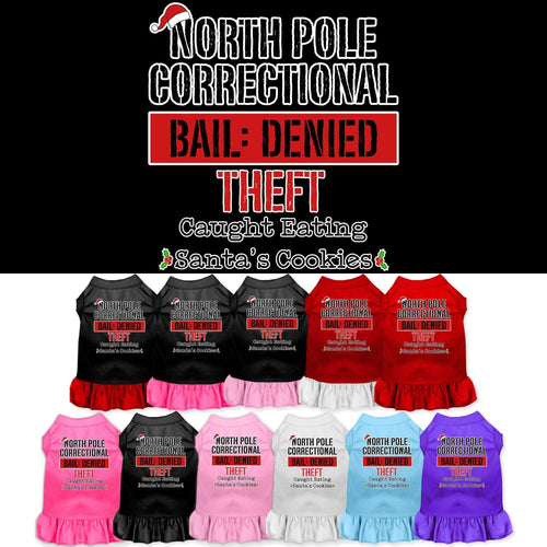 Christmas Pet Dress North Pole Correctional