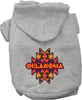 Pet Dog & Cat Screen Printed Hoodie for Small to Medium Pets (Sizes XS-XL), Oklahoma Navajo Tribal