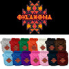 Pet Dog & Cat Screen Printed Hoodie for Small to Medium Pets (Sizes XS-XL), Oklahoma Navajo Tribal