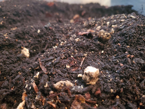 Premium Isopod Substrate - Promotes Healthy Growth and Breeding!