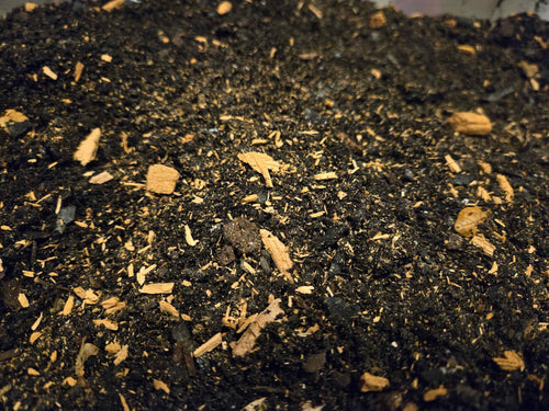 Premium Isopod Substrate - Promotes Healthy Growth and Breeding!