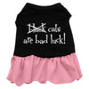 Halloween Pet Dress Black Cats Are Bad Luck