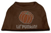 Halloween Pet Dog & Cat Shirt Rhinestone, Lil Punkin