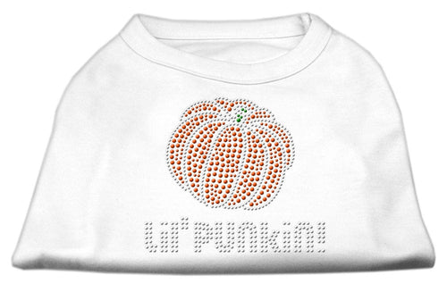 Halloween Pet Dog & Cat Shirt Rhinestone, Lil Punkin