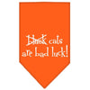 Halloween Pet and Dog Bandana Screen Printed, Black Cats are Bad Luck