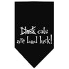 Halloween Pet and Dog Bandana Screen Printed, Black Cats are Bad Luck