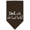 Halloween Pet and Dog Bandana Screen Printed, Black Cats are Bad Luck