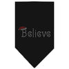 Christmas Pet and Dog Bandana Rhinestone, Believe