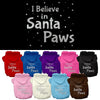 Christmas Pet Hoodie Screen Printed, I Believe In Santa Paws