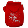 Christmas Pet Hoodie Screen Printed, I Believe In Santa Paws