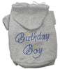 Birthday Pet Dog & Cat Hoodie Rhinestone, Birthday Boy