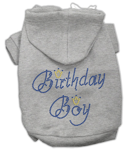 Birthday Pet Dog & Cat Hoodie Rhinestone, Birthday Boy