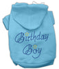 Birthday Pet Dog & Cat Hoodie Rhinestone, Birthday Boy