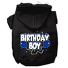 Pet, Dog & Cat Hoodie Screen Printed, Birthday Boy