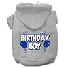 Pet, Dog & Cat Hoodie Screen Printed, Birthday Boy