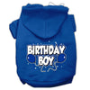 Pet, Dog & Cat Hoodie Screen Printed, Birthday Boy