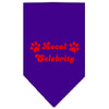 Pet and Dog Bandana Screen Printed, Local Celebrity