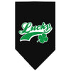 Pet and Dog Bandana Screen Printed,  Lucky Swoosh