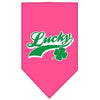 Pet and Dog Bandana Screen Printed,  Lucky Swoosh