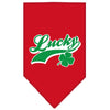Pet and Dog Bandana Screen Printed,  Lucky Swoosh