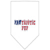 Pet and Dog Bandana Screen Printed, Pawtriotic Pup