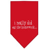 Pet and Dog Bandana Screen Printed, I Really Did Eat The Homework