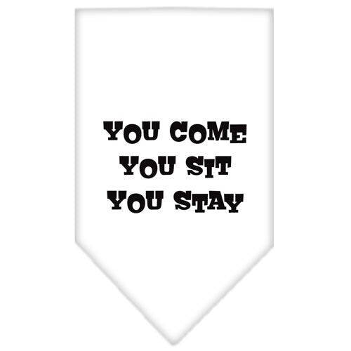 Pet and Dog Bandana Screen Printed, You Come, You Sit, You Stay