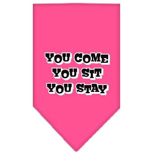 Pet and Dog Bandana Screen Printed, You Come, You Sit, You Stay