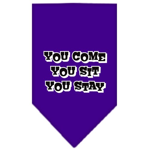 Pet and Dog Bandana Screen Printed, You Come, You Sit, You Stay