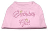 Pet Dog & Cat Shirt Rhinestone,Birthday Girl
