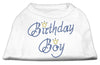 Pet Dog & Cat Shirt Rhinestone, Birthday Boy