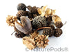 Mini/Nano Seed Pod Variety Pack - 37 Pieces
