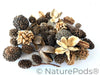 Mini/Nano Seed Pod Variety Pack - 37 Pieces