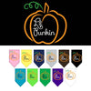 Halloween Pet and Dog Bandana Screen Printed, Lil Punkin